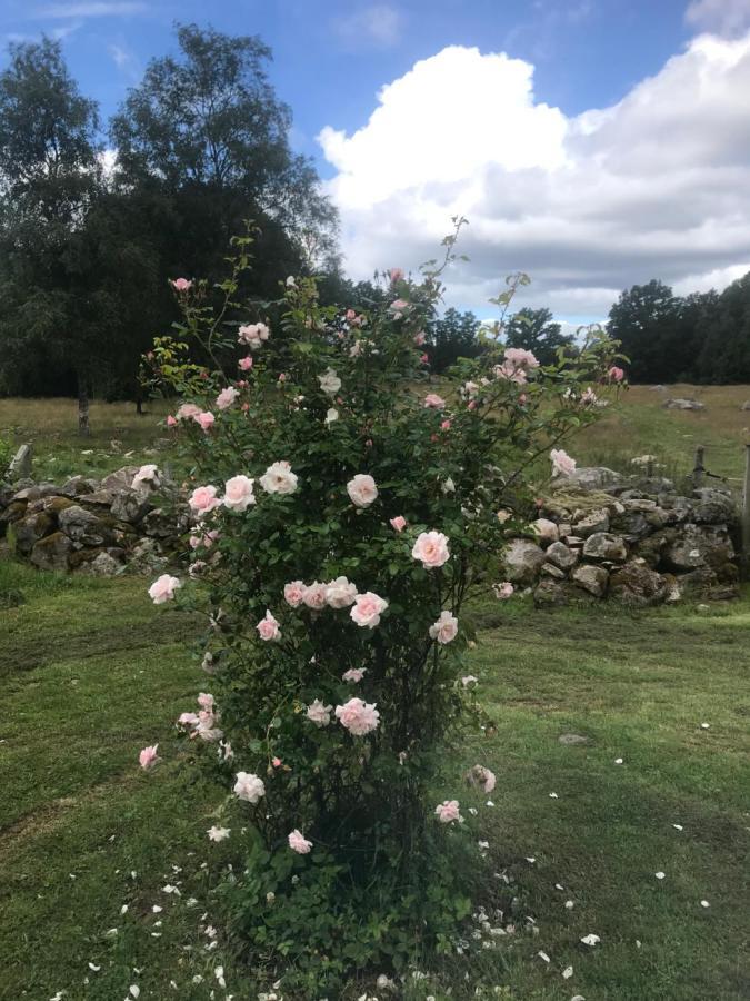 Brogard - Gardlejlighed Agunnaryd Esterno foto